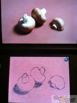 TNP TNP NAC 10 09 2012 18 TEST   New Art Academy 3DS: lart pour les nuls