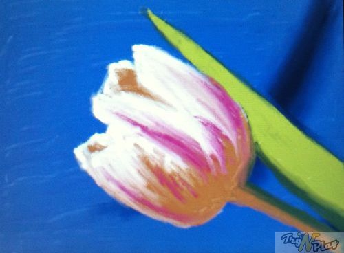TNP TNP NAC 10 09 2012 22 TEST   New Art Academy 3DS: lart pour les nuls